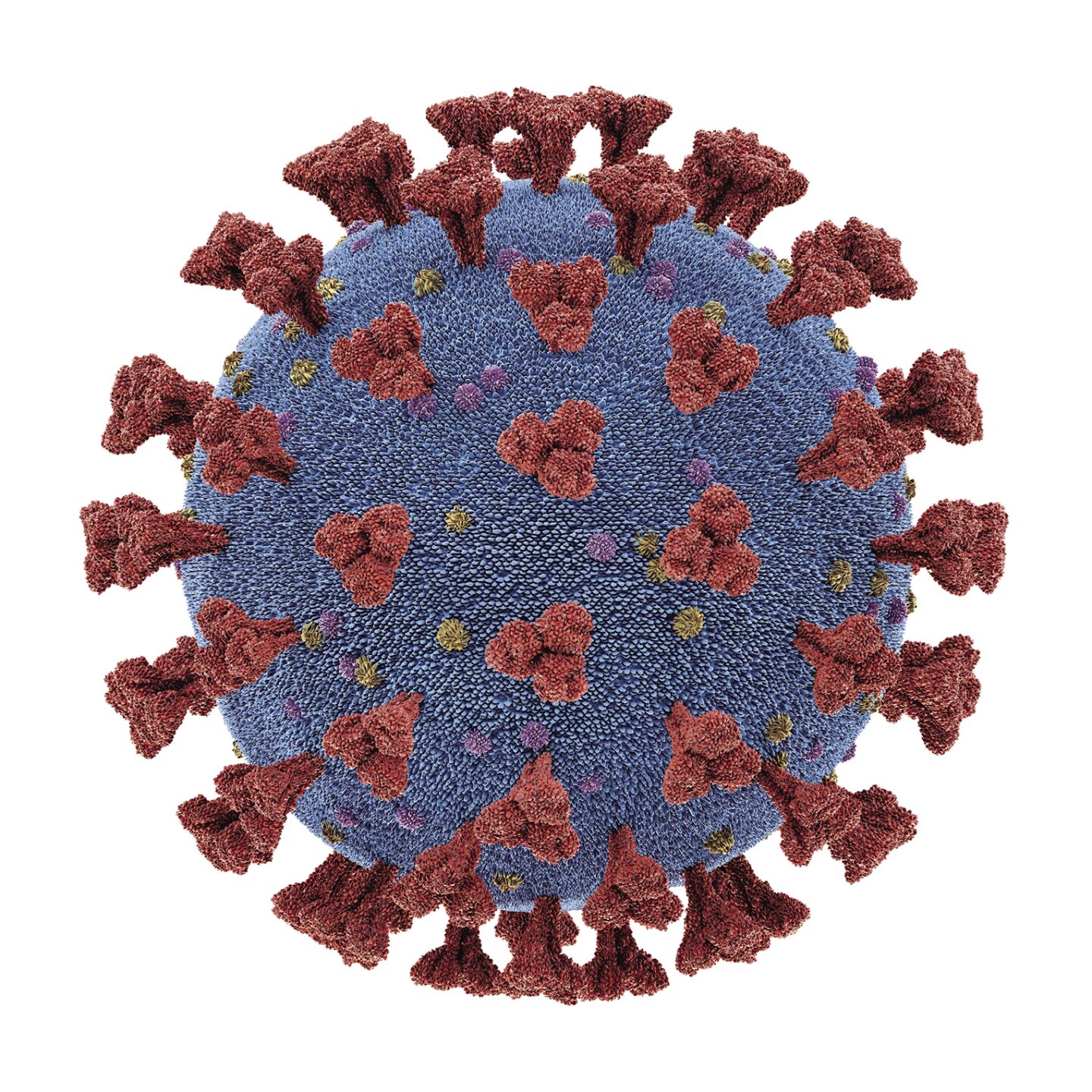 Covid virus pic